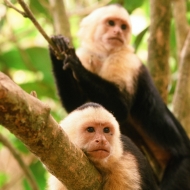 015CostaRica
