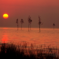 019CapeCod