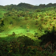 027DomRep
