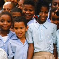 031DomRep